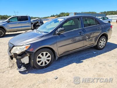2010 TOYOTA COROLLA LE JTDBU4EE6AJ072793 - główne zdjęcie licytacji z USA - miniatura
