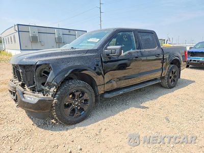 2022 FORD F150 SUPERCREW 1FTFW1E81NFA95718 - główne zdjęcie licytacji z USA - miniatura