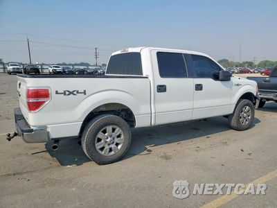 Trzecie zdjęcie samochodu z tyłu: 2013 FORD F150 SUPERCREW VIN:1FTFW1EF8DKF33512 - miniatura