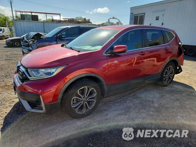 2020 HONDA CR-V EX 5J6RW1H55LA012441 - główne zdjęcie licytacji z USA - miniatura