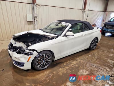 2019 BMW 230XI WBA2K1C59KVD41810 - główne zdjęcie licytacji z USA - miniatura