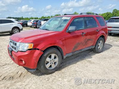 2010 FORD ESCAPE XLT 1FMCU9D71AKC13277 - główne zdjęcie licytacji z USA - miniatura