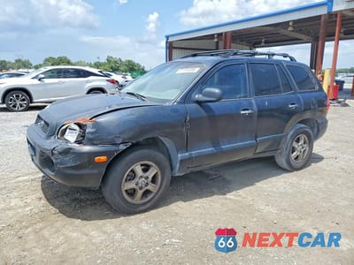 2004 HYUNDAI SANTA FE GLS KM8SC13D84U745755 - główne zdjęcie licytacji z USA - miniatura