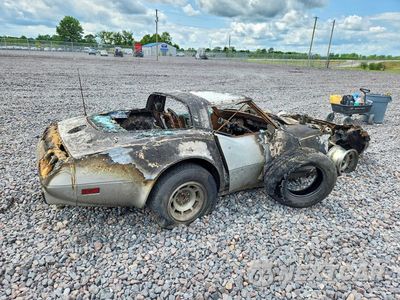 Trzecie zdjęcie samochodu z tyłu: 1978 CHEVROLET CORVETTE VIN:00001Z87L8S435054 - miniatura
