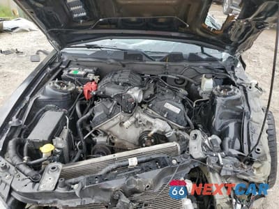Zdjęcie 11 z 13 samochodu: 2014 FORD MUSTANG VIN:1ZVBP8AM3E5313622 - miniatura