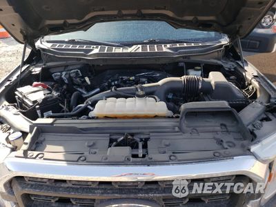 Zdjęcie 13 z 14 samochodu: 2021 FORD F150 SUPERCREW VIN:1FTEW1EP7MKE69676 - miniatura