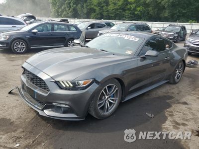 2017 FORD MUSTANG 1FA6P8TH3H5304689 - główne zdjęcie licytacji z USA - miniatura