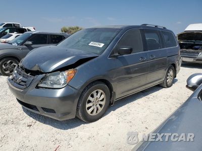 2009 HONDA ODYSSEY EXL 5FNRL38769B030426 - główne zdjęcie licytacji z USA - miniatura