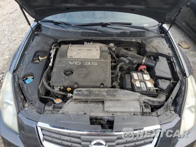 Zdjęcie 12 z 14 samochodu: 2008 NISSAN MAXIMA SE VIN:1N4BA41E48C814143 - miniatura