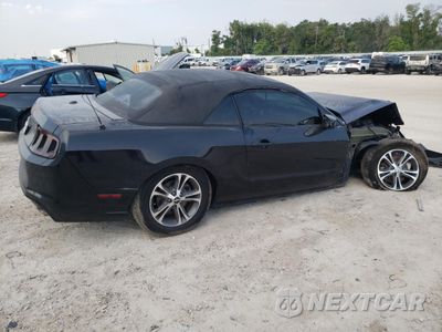 Trzecie zdjęcie samochodu z tyłu: 2014 FORD MUSTANG VIN:1ZVBP8EM5E5328519 - miniatura