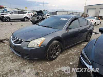 2008 NISSAN MAXIMA SE 1N4BA41E48C814143 - główne zdjęcie licytacji z USA - miniatura