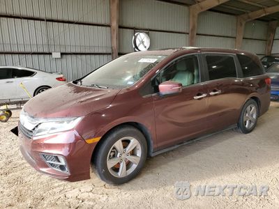 2019 HONDA ODYSSEY EXL 5FNRL6H75KB002057 - główne zdjęcie licytacji z USA - miniatura