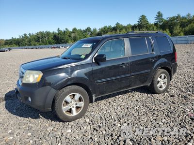 2010 HONDA PILOT EX 5FNYF4H45AB036107 - główne zdjęcie licytacji z USA - miniatura