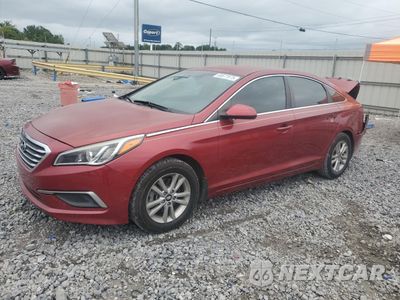 2016 HYUNDAI SONATA SE 5NPE24AF8GH426218 - główne zdjęcie licytacji z USA - miniatura
