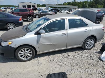2009 TOYOTA COROLLA BASE 2T1BU40E59C167327 - główne zdjęcie licytacji z USA - miniatura