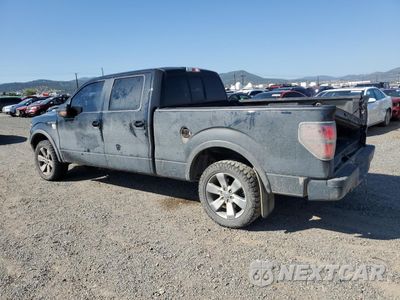 Drugie zdjęcie samochodu z przodu: 2014 FORD F150 SUPERCREW VIN:1FTFW1EF2EKD95970 - miniatura