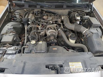 Zdjęcie 11 z 12 samochodu: 2002 FORD CROWN VICTORIA LX VIN:2FAFP74W92X159560 - miniatura