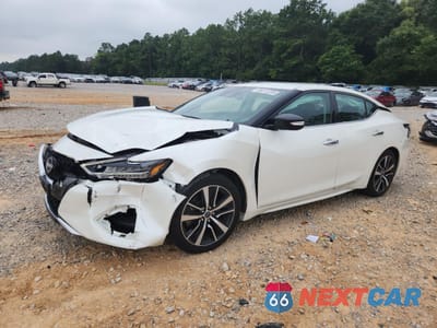 2023 NISSAN MAXIMA SV 1N4AA6CV2PC509064 - główne zdjęcie licytacji z USA - miniatura