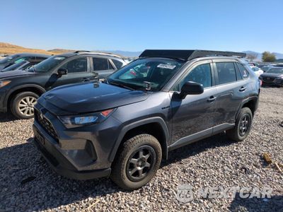 2021 TOYOTA RAV4 LE 4T3LWRFV7MU042105 - główne zdjęcie licytacji z USA - miniatura