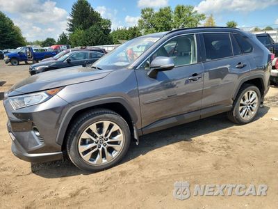 2019 TOYOTA RAV4 XLE PREMIUM JTMA1RFV8KD009582 - główne zdjęcie licytacji z USA - miniatura