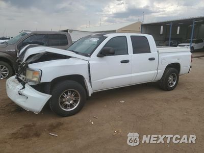 2008 DODGE DAKOTA QUAD SLT 1D7HW48N58S529524 - główne zdjęcie licytacji z USA - miniatura