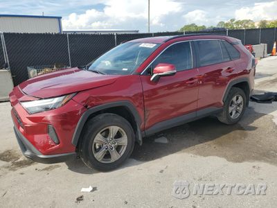 2024 TOYOTA RAV4 XLE 2T3W1RFV7RW316888 - główne zdjęcie licytacji z USA - miniatura