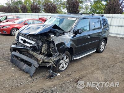 2009 HONDA PILOT EXL 5FNYF48549B007704 - główne zdjęcie licytacji z USA - miniatura