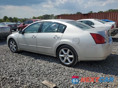Drugie zdjęcie samochodu z przodu: 2004 NISSAN MAXIMA SE VIN:1N4BA41E64C809617 - miniatura