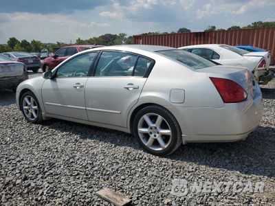 Drugie zdjęcie samochodu z przodu: 2004 NISSAN MAXIMA SE VIN:1N4BA41E64C809617 - miniatura