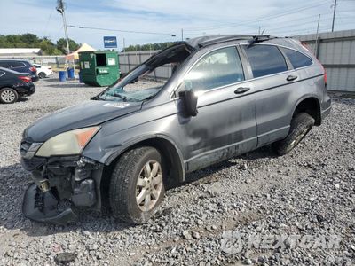 2011 HONDA CR-V SE 5J6RE3H4XBL043600 - główne zdjęcie licytacji z USA - miniatura
