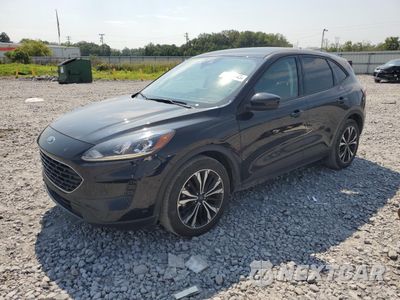 2022 FORD ESCAPE SE 1FMCU0G62NUB14718 - główne zdjęcie licytacji z USA - miniatura