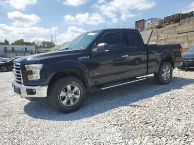 2015 FORD F150 SUPER CAB 1FTEX1EPXFFB46960 - główne zdjęcie licytacji z USA - miniatura