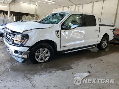 2024 FORD F150 XLT 1FTFW3LDXRFA06438 - główne zdjęcie licytacji z USA - miniatura