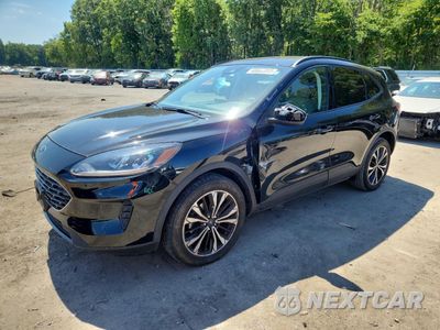 2022 FORD ESCAPE SE 1FMCU9G67NUB62980 - główne zdjęcie licytacji z USA - miniatura