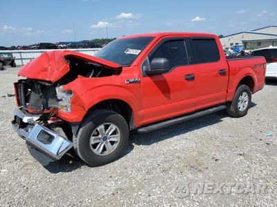 2016 FORD F150 SUPERCREW 1FTEW1EF6GFA55521 - główne zdjęcie licytacji z USA - miniatura
