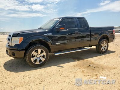 2013 FORD F150 SUPER CAB 1FTFX1ET7DFC30328 - główne zdjęcie licytacji z USA - miniatura
