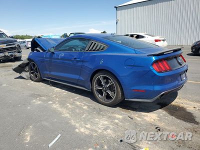 Drugie zdjęcie samochodu z przodu: 2017 FORD MUSTANG GT VIN:1FA6P8CFXH5214289 - miniatura