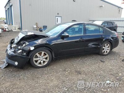 2004 NISS MAXIMA 1N4BA41E64C878565 - główne zdjęcie licytacji z USA - miniatura