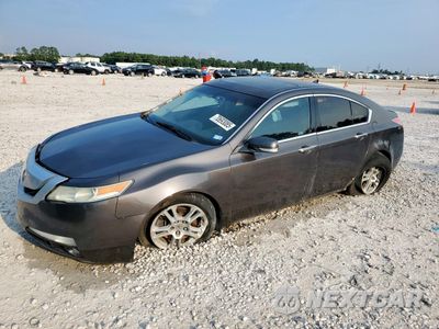 2009 ACURA TL 19UUA86539A023796 - główne zdjęcie licytacji z USA - miniatura