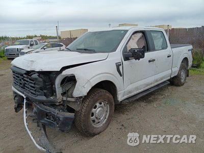 2024 FORD F150 XL 1FTFW1L82RKE49018 - główne zdjęcie licytacji z USA - miniatura