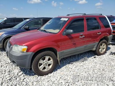 2007 FORD ESCAPE XLT 1FMYU931X7KA16328 - główne zdjęcie licytacji z USA - miniatura