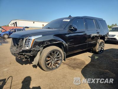 2019 CADILLAC ESCALADE LUXURY 1GYS4BKJXKR393772 - główne zdjęcie licytacji z USA - miniatura