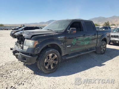 2012 FORD F150 SUPERCREW 1FTFW1ET4CFB88816 - główne zdjęcie licytacji z USA - miniatura