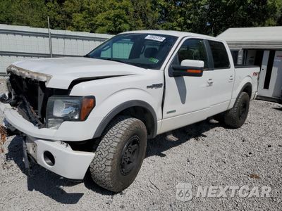 2013 FORD F150 SUPERCREW 1FTFW1ET8DFA44770 - główne zdjęcie licytacji z USA - miniatura