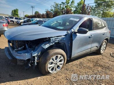 2024 FORD ESCAPE ACTIVE 1FMCU9GN3RUB01266 - główne zdjęcie licytacji z USA - miniatura
