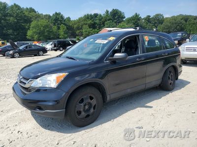 2010 HONDA CR-V LX 5J6RE4H38AL021400 - główne zdjęcie licytacji z USA - miniatura