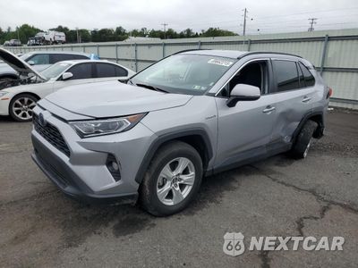 2020 TOYOTA RAV4 XLE 2T3RWRFV5LW085026 - główne zdjęcie licytacji z USA - miniatura