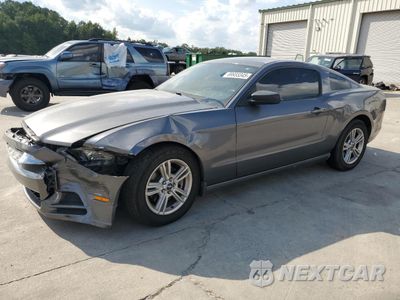2014 FORD MUSTANG 1ZVBP8AMXE5317036 - główne zdjęcie licytacji z USA - miniatura