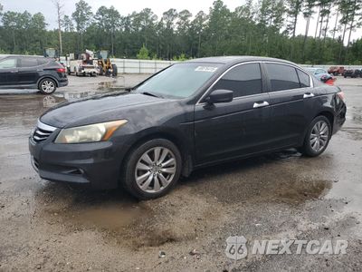 2011 HONDA ACCORD EXL 1HGCP3F85BA013333 - główne zdjęcie licytacji z USA - miniatura
