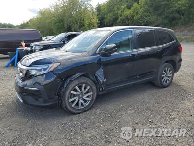 2019 HONDA PILOT EXL 5FNYF6H40KB039235 - główne zdjęcie licytacji z USA - miniatura